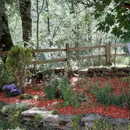 Maison De Montagne Avec Jardin Et Garage - 12 Pers, 130m² - Proche Super-lioran, Animaux Acceptes - Fr-1-742-420 Hébergement de vacances