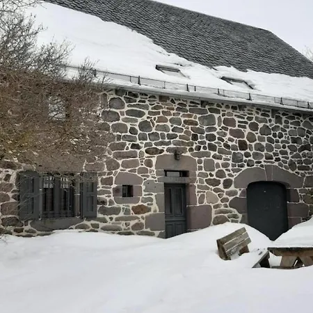 Maison De Montagne Avec Jardin Et Garage - 12 Pers, 130m² - Proche Super-lioran, Animaux Acceptes - Fr-1-742-420