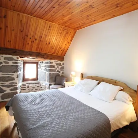 Maison De Montagne Avec Jardin Et Garage - 12 Pers, 130m² - Proche Super-lioran, Animaux Acceptes - Fr-1-742-420 *